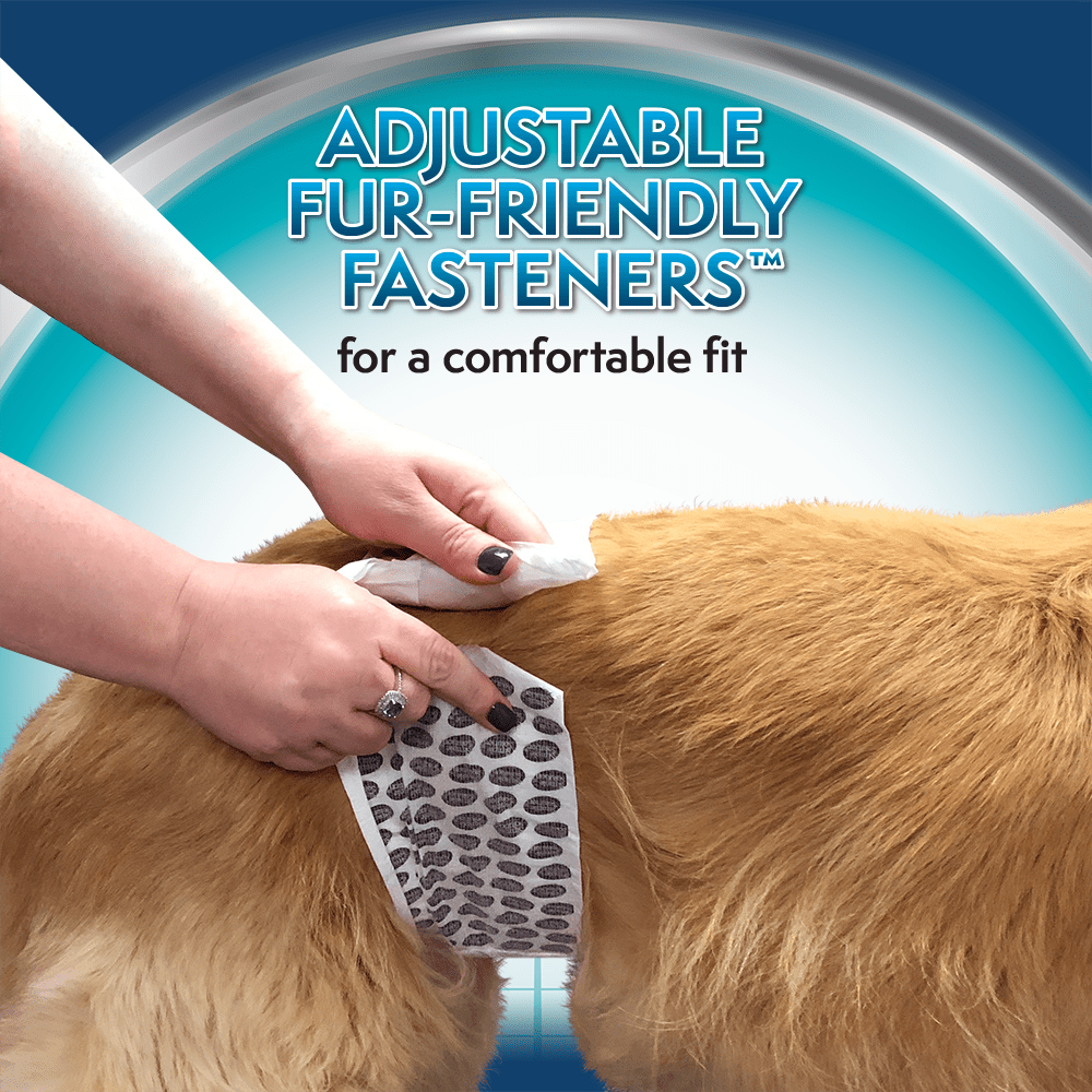 Simple Solution Disposable Dog Diapers for Male Dogs - Large - 30 Count