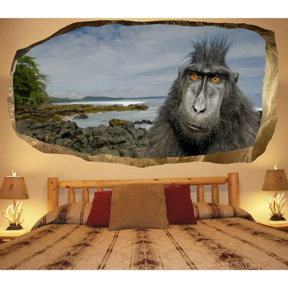 Startonight 3D Mural Wall Art Photo Decor Monkey Amazing Dual View Surprise Wall Mural Wallpaper for Bedroom Urban Art Large 47.24 By 86.61
