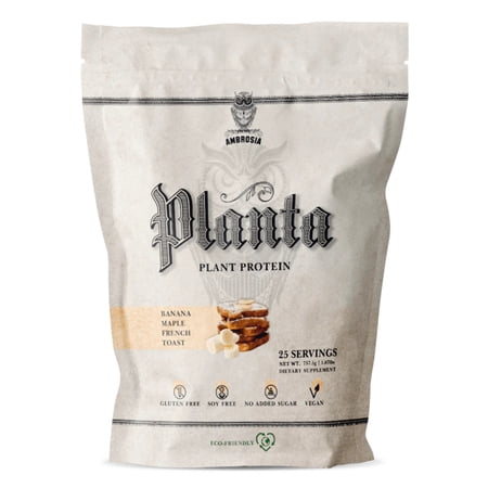 Ambrosia Planta - Premium Organic Plant-Based Protein | Vegan & Keto Friendly | Gourmet Flavors with No Bloating or Stomach Upset | Gluten & Soy Free | No Added Sugar | 25 Servings | Banana Maple