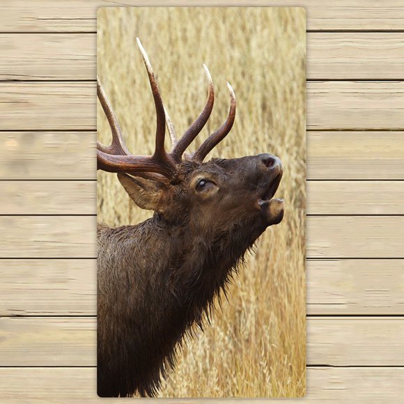 EREHome Bull Elk Stag Bugling Calling Rocky Mountain Cervus Canadensis Beach Bath Towels Shower Towel For Home Outdoor Travel 30x56 Inch