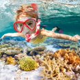 thumbnail image 2 of Set de Snorkel ACQCES para Niños con Sistema Dry Top 5-15 Años Rojo, 2 of 7