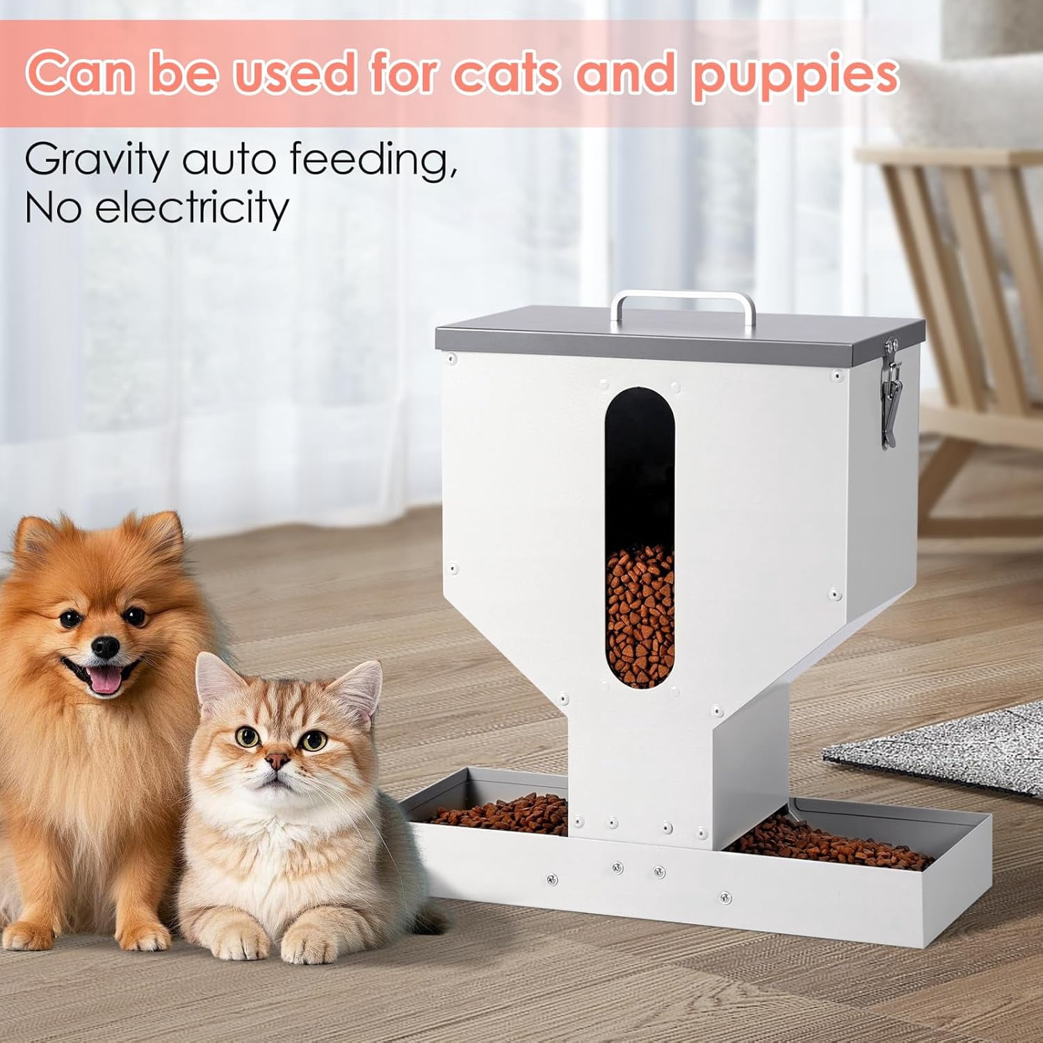 Automatic Cat Feeder for 2 Cats - 12L Gravity Dual Pet Food Dispenser with Visible Window & Sturdy Galvanized Steel Design for Indoor Outdoor Use
