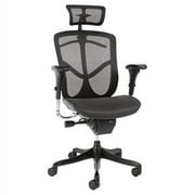 Alera Ergo EQ EQA41ME10B Multifunction High-Back Chair