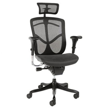 Alera Ergo EQ EQA41ME10B Multifunction High-Back Chair