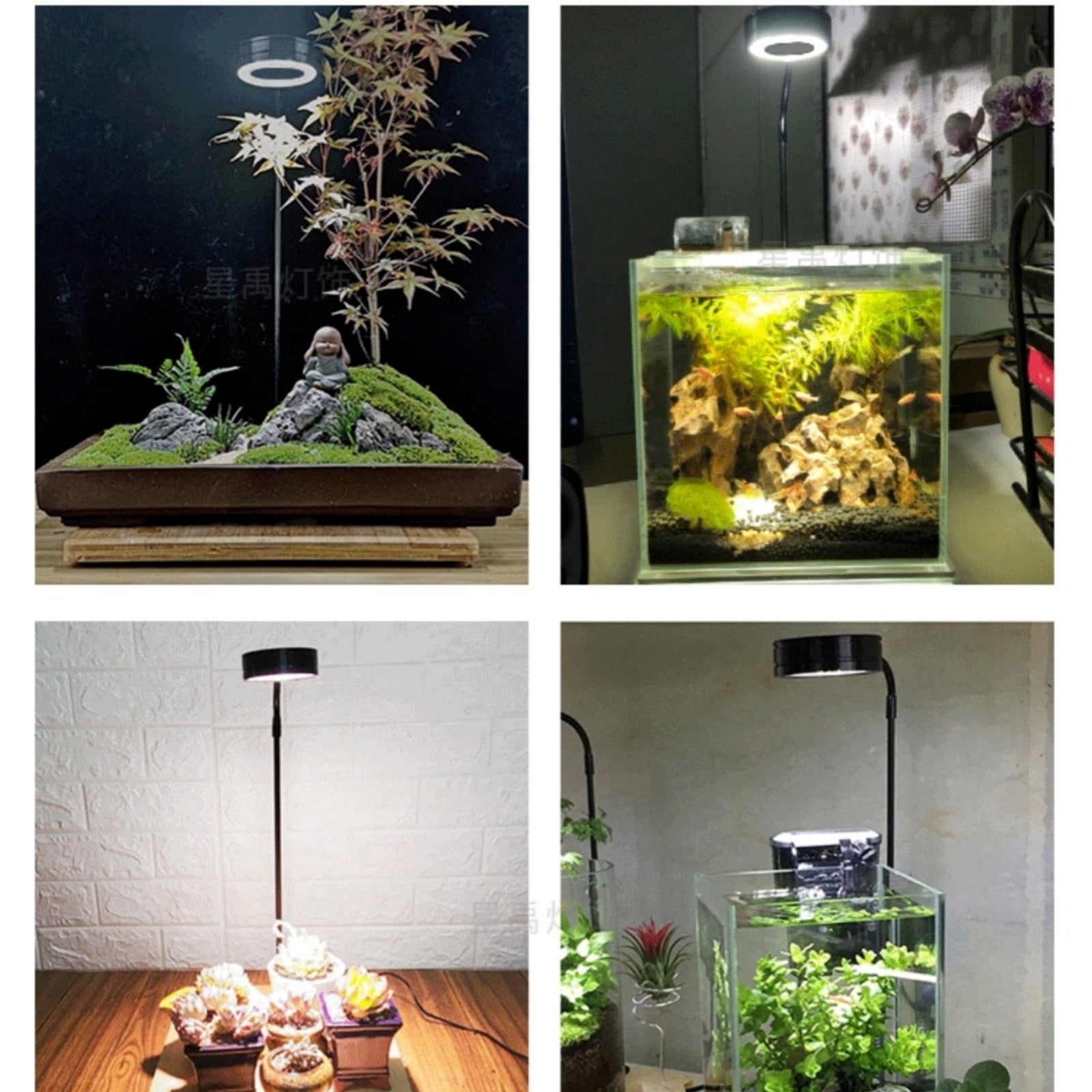 Xubinwww Three Tone Light Led Tank Lamp Board Base Lamp Aquatic Land Lamp Fleshy Potted Aquarium Lamp Night Owl Book Light Baby Gadgets Must Have 2022 Emergency Lights for Home Amethyst Lamp Light