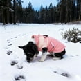 thumbnail image 4 of Heated Dog Vest With Reflective Warm For Outdoor Windproof Cold Weather In Small Medium Large Breed Sizes, 4 of 5