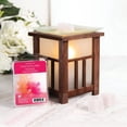 thumbnail image 4 of ScentSationals Scented Wax Cubes - Fantasyland, 4 of 4