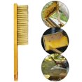 thumbnail image 1 of Cepillo para colmena, 3 cepillos para abejas, cepillo suave para apicultura, mango de madera, herramienta para colmena, cepillo para abejas, equipo de apicultura, cepillo suave para herramienta de limpieza de abejas ShuxiuWang 8390605851384, 1 of 1