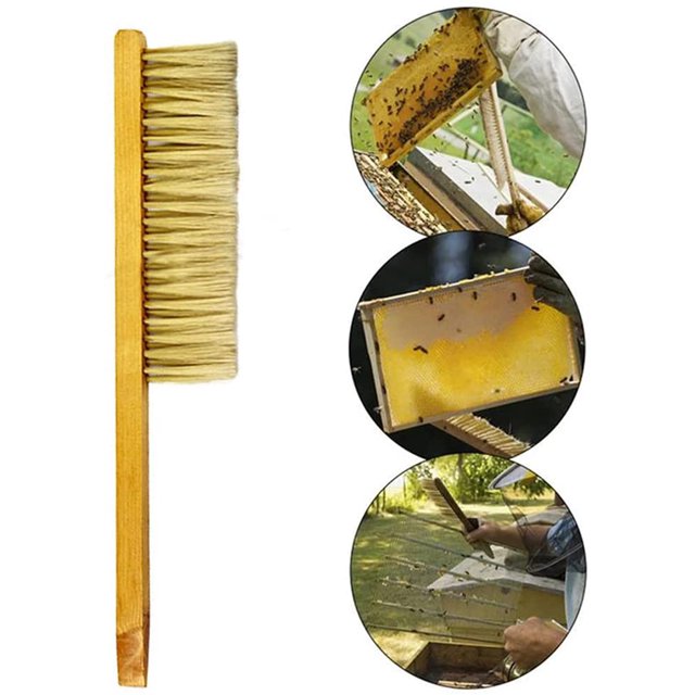 Cepillo para colmena, 3 cepillos para abejas, cepillo suave para apicultura, mango de madera, herramienta para colmena, cepillo para abejas, equipo de apicultura, cepillo suave para herramienta de limpieza de abejas ShuxiuWang 8390605851384