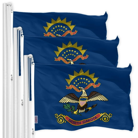 North Dakota ND State Flag 3x5FT 3-Pack 150D Printed Polyester By G128