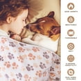thumbnail image 1 of Innens Pet Blanket for Small Medium Dog Puppy Cat Flannel Flannel Soft ＆ Warm Mat Cover, 1 of 25