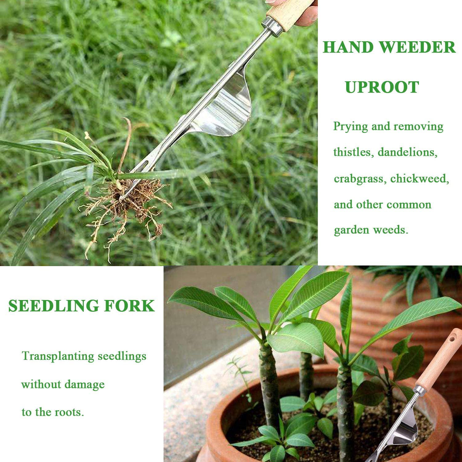 YXX Hand Weeder Garden Weeding Tool 12 Inch Manual Weeder Rust-Resistant Stainless Steel Leverage Base for Saving Effort to Remove Dandelions Thistles Burdock and Other Invasive Weeds 