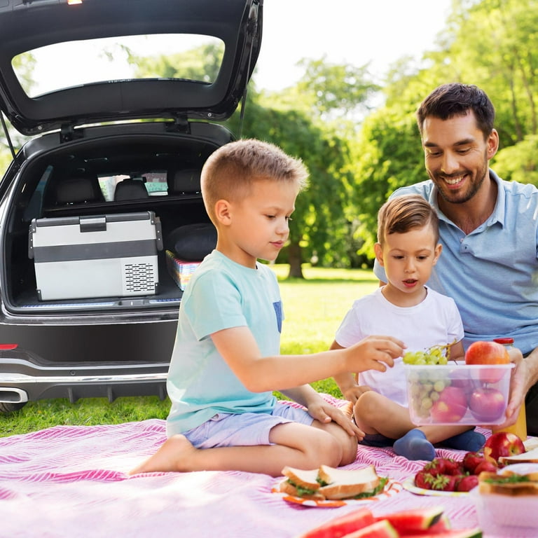 Eagle Car Refrigerator Portable RV Fridge Freezer for Home Outdoor