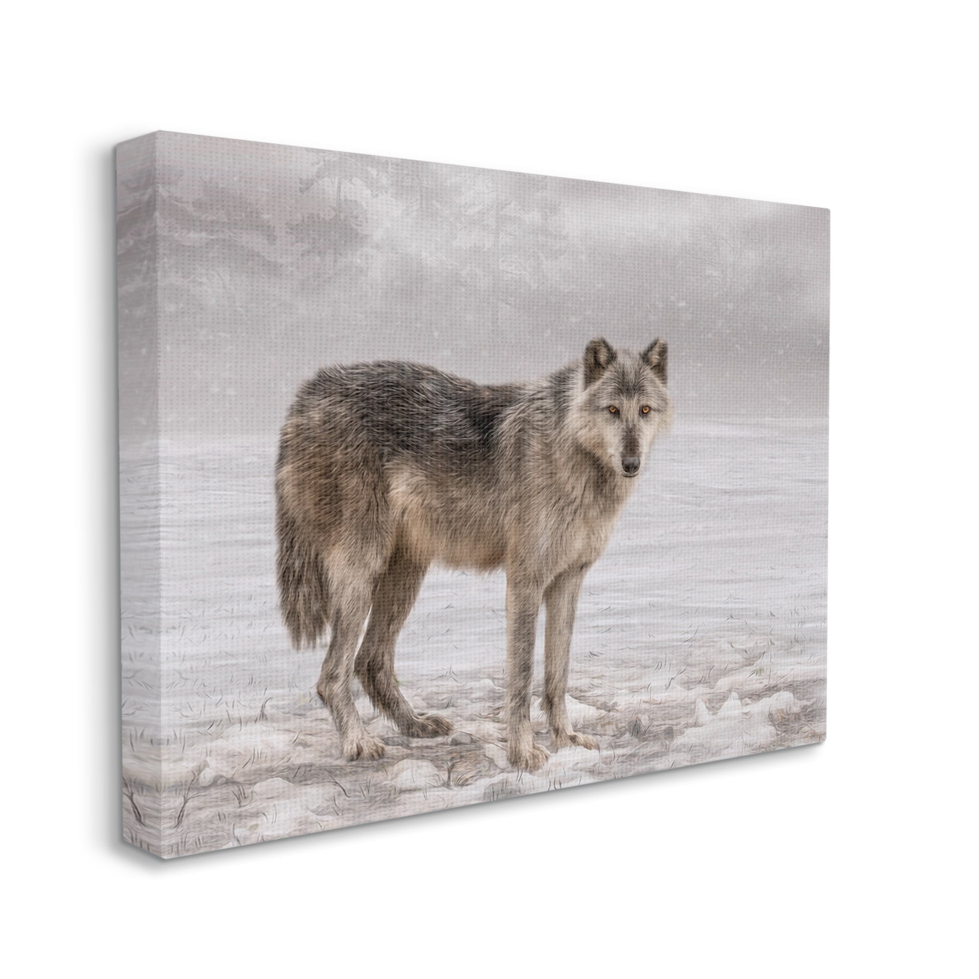 Stupell Industries Lone Coyote Wolf Snowy Field Landscape Intricate Details Graphic Art Gallery Wrapped Canvas Print Wall Art, Design by Kelley Parker