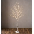 thumbnail image 2 of Plow & Hearth Large Indoor/Outdoor Birch Tree with 600 Warm White Lights, 2 of 2