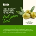 thumbnail image 6 of Swanson Olive Leaf Extract Capsules with 20% Oleuropein - (120 Capsules, 500mg Each), 6 of 8