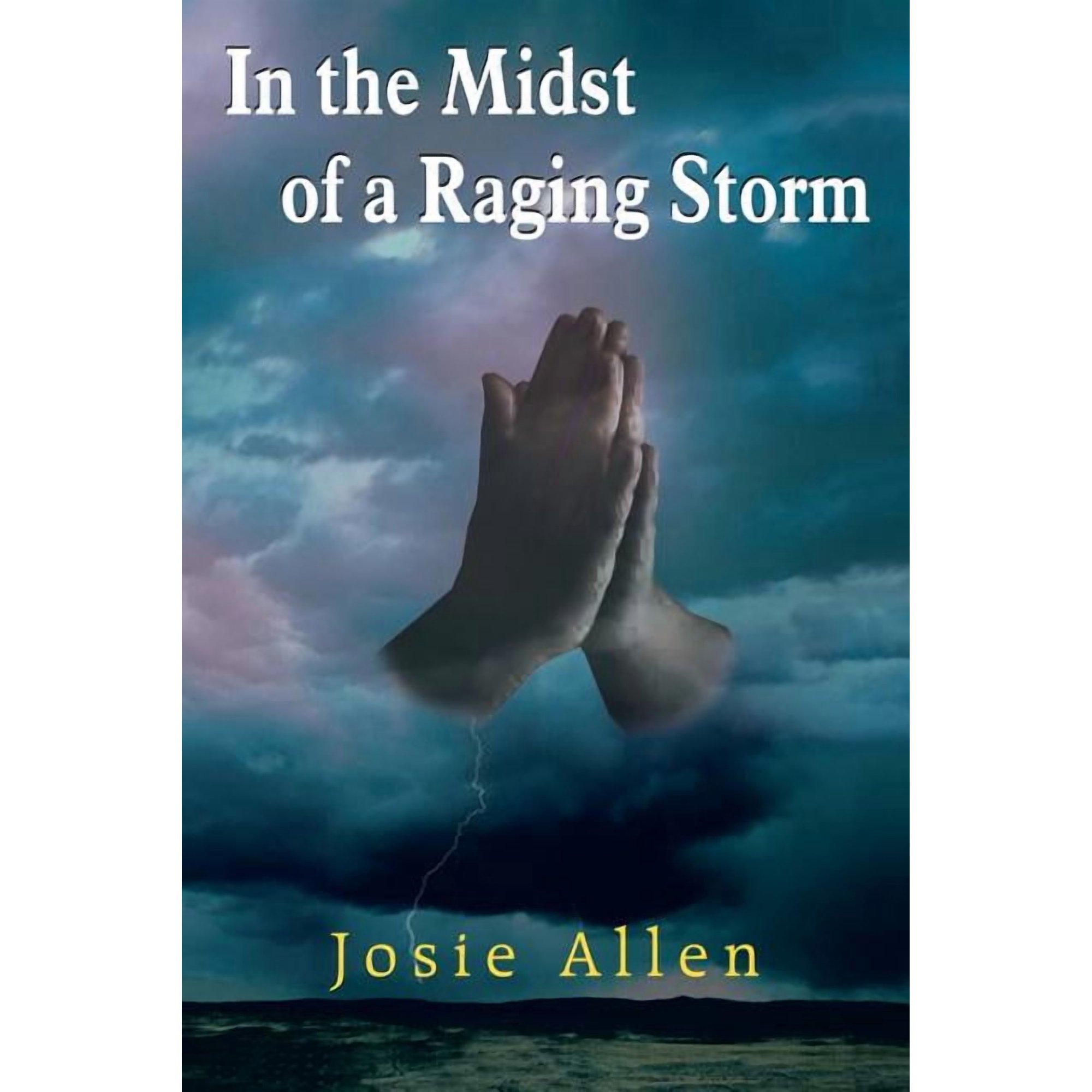 In the Midst of a Raging Storm (Paperback)