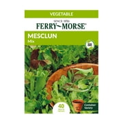 Ferry-Morse 110MG Mesclun Gourmet Greens Mixture Vegetable Plant Seeds Packet