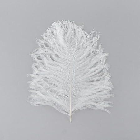 ZUCKER™ Ostrich Tail Feathers - Cut Tops - 5 - 11" - 12PCS - White