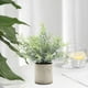 thumbnail image 5 of Bonsái artificial en maceta, pequeñas plantas falsas para decoración de baño. Romero, 5 of 9