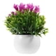 thumbnail image 1 of Flores artificiales Desktop Faux Faux Planta en maceta planta artificial en adorno, 1 of 6