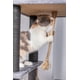 thumbnail image 5 of Torre para gatos Cat Tree Catry Babylon con hamaca y rascadores, 5 of 9