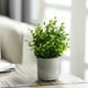 thumbnail image 1 of Ramo de Flores de Simulación para Mesa de Sala de Estar, Arreglo Floral, Decoración de Flores, Jarrón En Maceta, 1 of 6