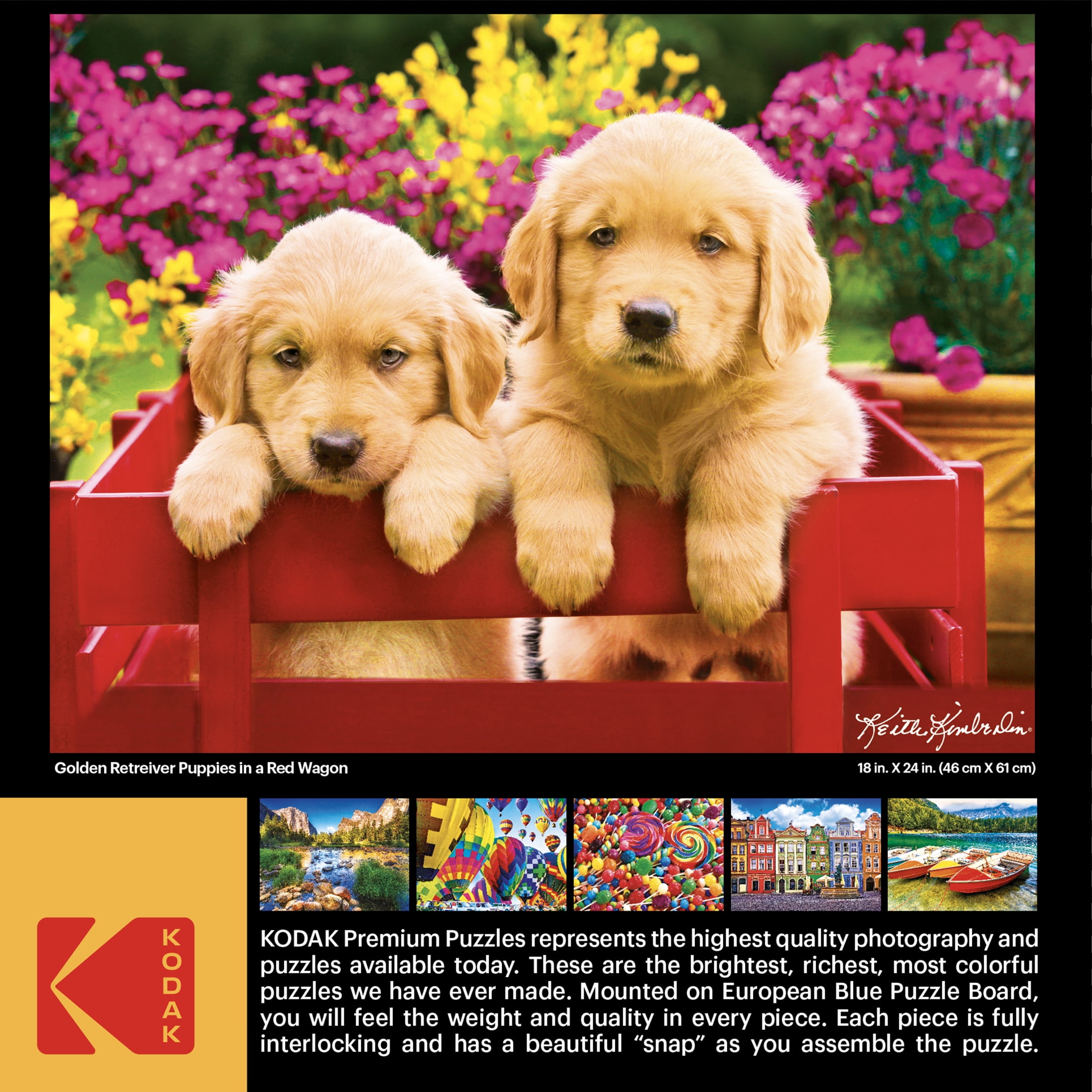 Cra-Z-Art Kodak 350-Piece Golden Retriever Puppies in a Red Wagon