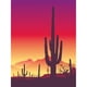 thumbnail image 1 of Cuadros Decorativos Kits de pintura de diamante DIY 5D de cactus de noche taladro redondo completo decoración de pared manualidades Likrtyny embutido en tela, 1 of 1