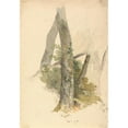 thumbnail image 2 of Robert Hills 14x18 Black Ornate Wood Framed Double Matted Museum Art Print Titled - Tree Study with Ivy Clinging to Stump (ca. 1826), 2 of 5