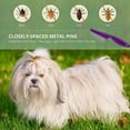 thumbnail image 3 of Purple Lice Comb Grooming Tool for Cats Pets Safe Stainless Steel Teeth Cleaning Combs, Clean Lice/Tangles/Knots/Scab/Dirt, 3 of 5
