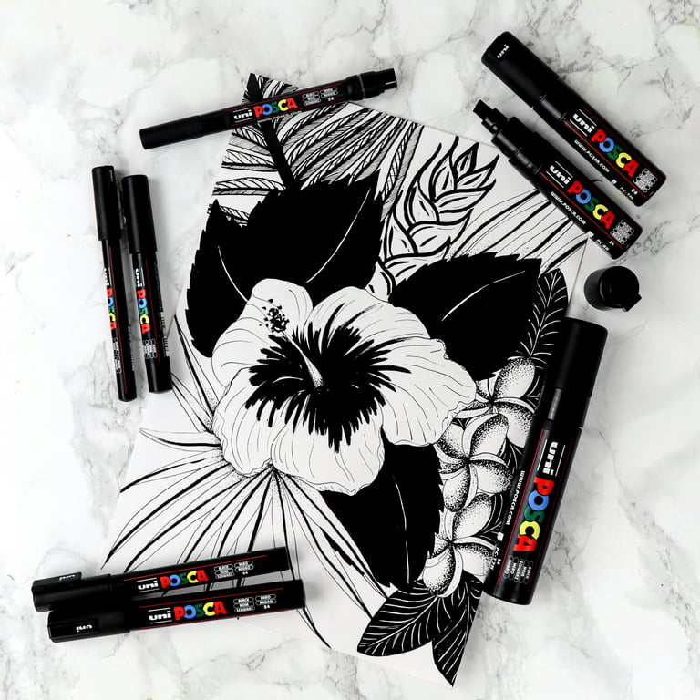 Posca Paint Pens Black & White 