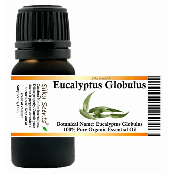 Eucalyptus Globulus Organic Essential Oil 5 ml (1/6 fl oz) - 100% Pure and Natural by Silky Scents