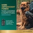 thumbnail image 3 of VetriScience Immunity Health Capsules for Small Dogs, 60 Count, 3 of 11