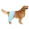 thumbnail image 4 of HDE Dog Swim Trunks Hawaiian Board Shorts for XS to XXL Dogs Party Like a Flock Star XL, 4 of 5