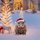 thumbnail image 5 of Tarjetero Con Hipopótamo Con Gorro De Papá Noel En Navidad Tarjetero Decorativo De Acrílico Plano En 2D Decoración Navideña Para Tu Rincón Y Para Realzar El Ambiente Navideño, 5 of 7