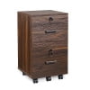 Brown Coffee-2 Drawer