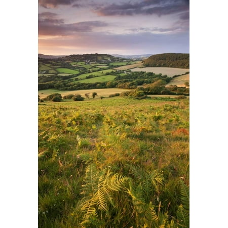 Rolling Dorset Countryside Viewed from Golden Cap, Dorset, England. Summer Print Wall Art By Adam (Best Time To Visit England Countryside)