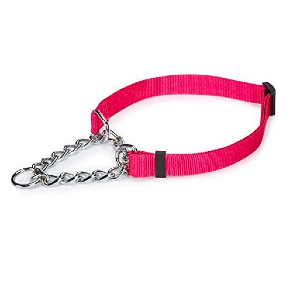 Bulk Dog Collars 50 Adjustable Chain Martingales Assorted Color Rescue Shelter (Medium - 16 to 24 Inch)