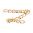 thumbnail image 4 of Cadena Delgada De Aluminio Correa De Cadena Reemplazable Para Bolso Pulsera Tobillera Accesorios De Bricolaje 10m Oro, 4 of 12