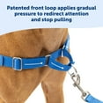 PetSafe Easy Walk NoPull Leash Training Dog Harness, Medium, Raspberry