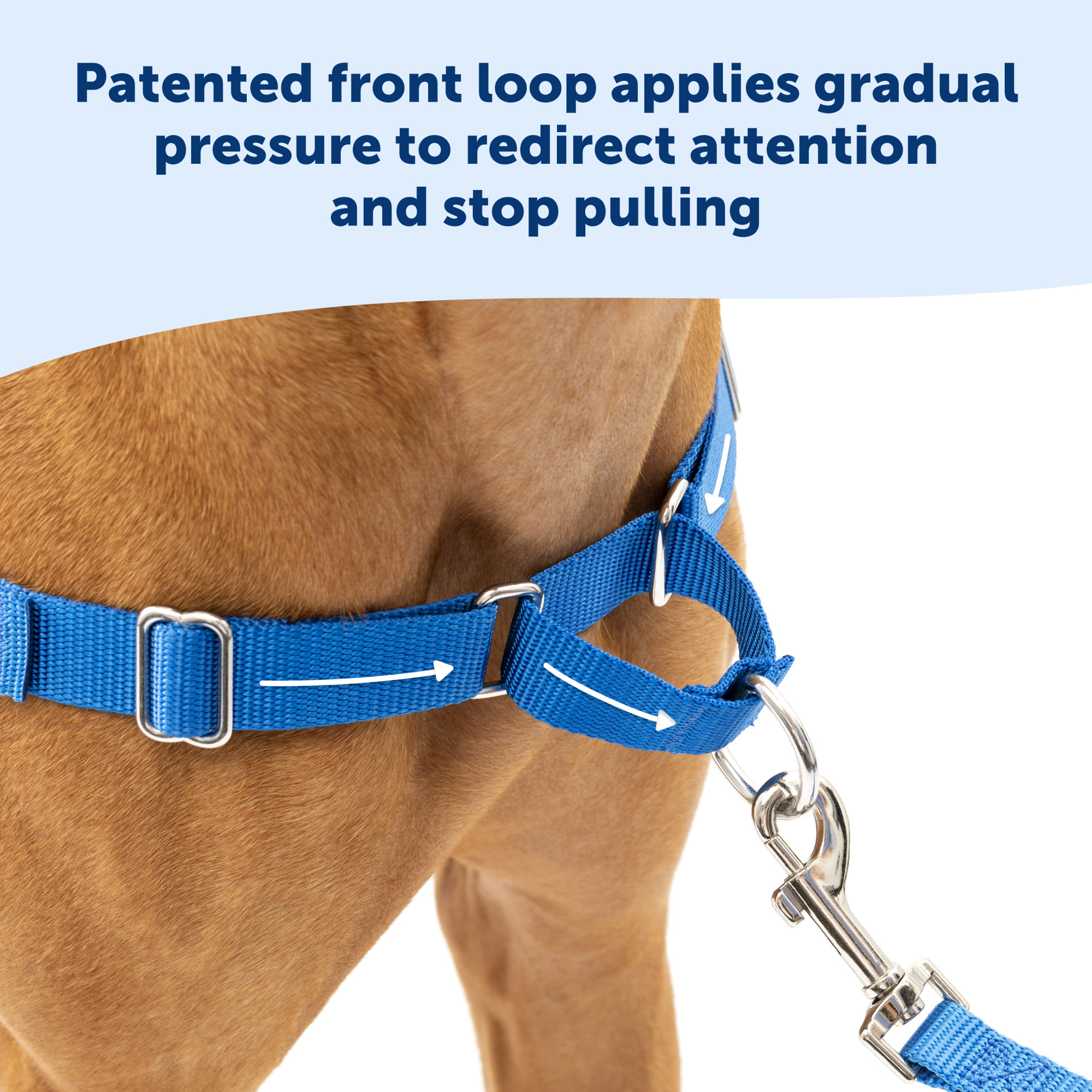 PetSafe Easy Walk No-Pull Harness, Medium/Large photo 3