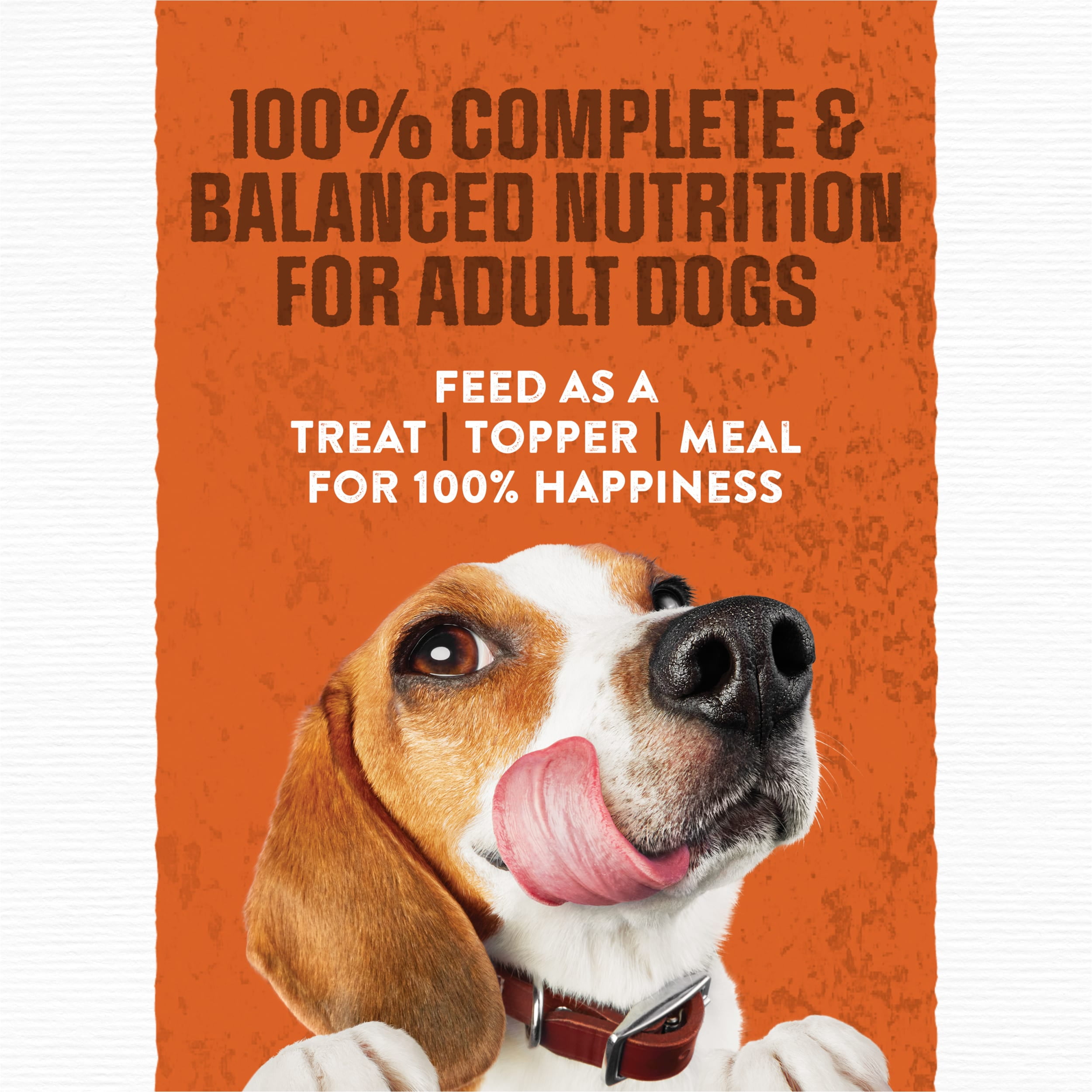 (4 pack) Purina Moist and Meaty Dry Dog Food, Burger with Cheddar Cheese Flavor, 12 Count