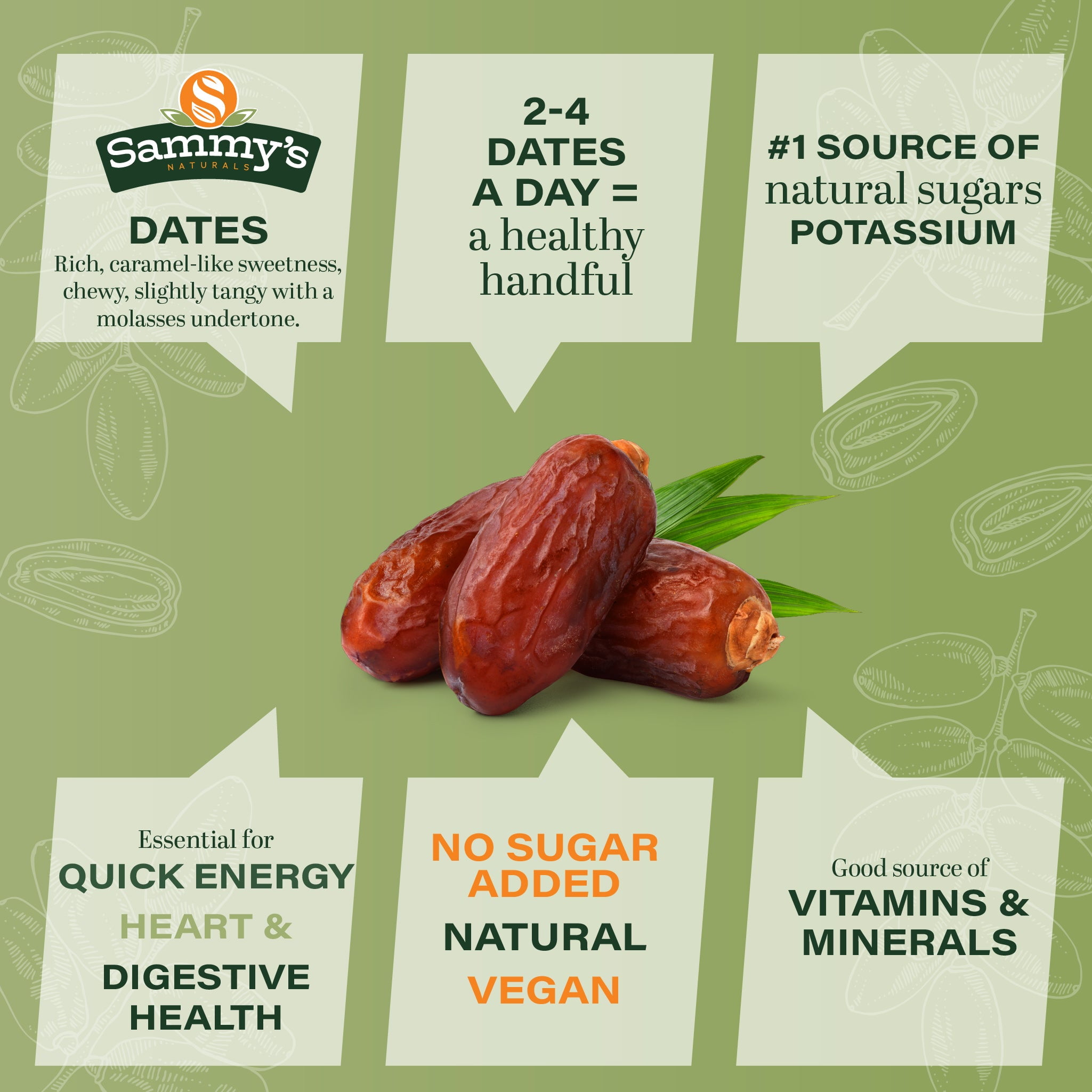 Sammys Naturals Deglet Noor Dates, Pitted, No Sugar Added (32oz - 2 lbs) Non-GMO, Vegan