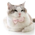 thumbnail image 3 of Pet Collar Super Soft Wear Resistant Faux Silk - Adjustable Cat Bow-knot Collar - Pet Photography Prop - Pet Supplies, 3 of 8