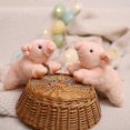 thumbnail image 5 of Cute Soft Lucky Pig Doll - Ideal Home Decoration Gift for Any Age, 5 of 5