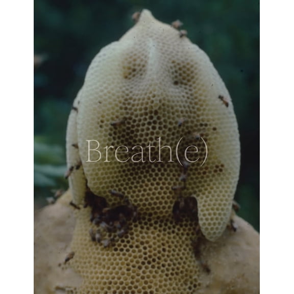 Breath(e): Toward Climate and Social Justice, (Hardcover)