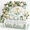 Baptism, variant on 307 Alien Birthday Decorations All-in-one Set For 25 Guests