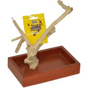 XSmall Java Wood Table Top Play Stand 8" x 5" x 11" AE500XS