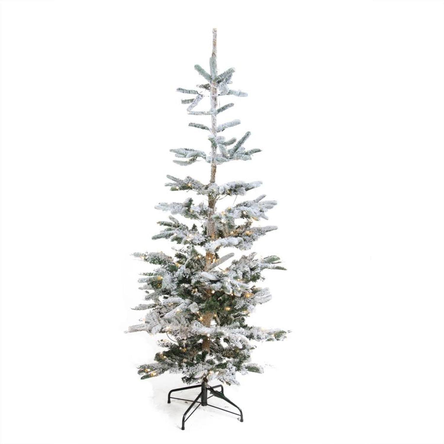 noble fir christmas tree